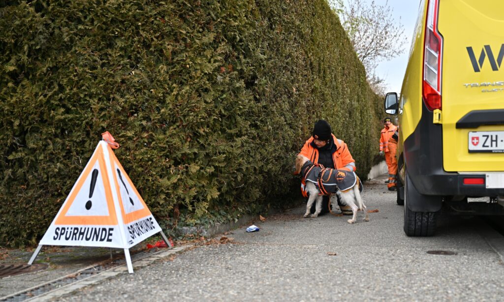 Spürhunde-Einsatz mit Igelspürhund zur Kontrolle einer Hecke vor der Rodung