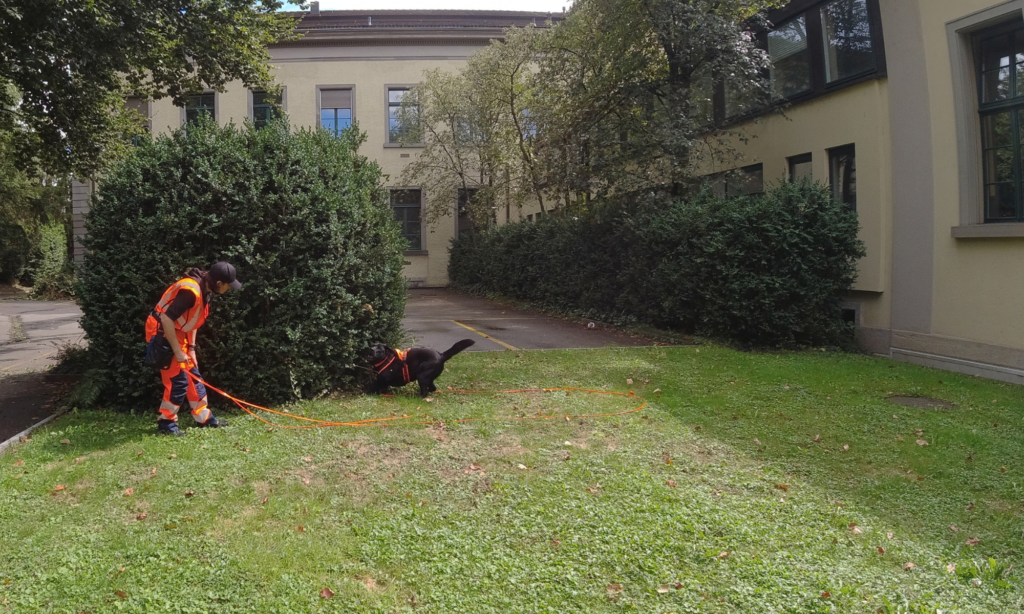 Mirella Manser mit Igelspürhund Yuma im Einsatz beim USZ Baufeld MITTE1|2